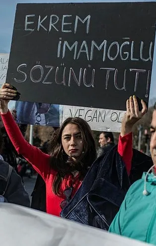 İBB önünde protesto: "Atların kanları İBB'nin elinde!"