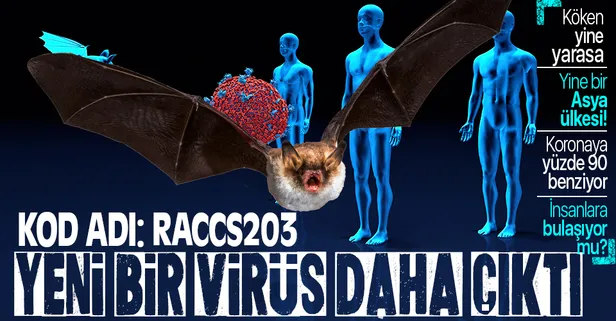 Dünya şokta! Koronavirüse çok benzeyen yeni bir virüs türü ortaya çıktı! Kaynak yine yarasalar!