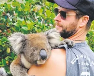 Ah o koala ben olsam!