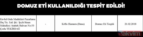 Gıda teröristi Gurme Gıda! Vatandaşa dana eti yerine domuz eti yedirdiler… - 8