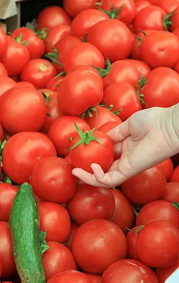 Rusya'nın Türkiye kararı o ülkeyi vurdu