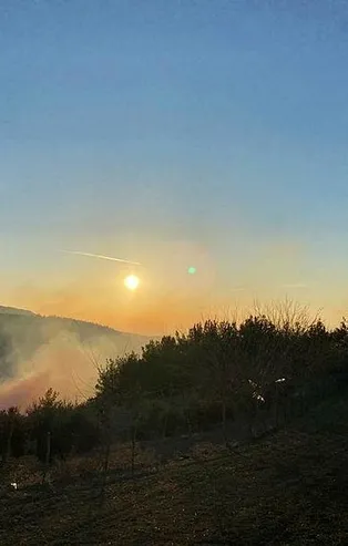 Osmaniye'de ormanlık alanda yangın