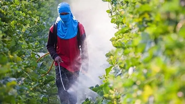 pestisit-nedir-neden-kullanilir-pestisit-oldurucu-mu-pestisit-ne-demek-zararlari-neler-tiktok-fenomeni-canli-yayinda-intihar-etti-1637915493529.jpg Pestisit ne demek, zararları neler? Pestisit nedir, neden kullanılır? Pestisit öldürücü mü? TikTok fenomeni canlı yayında intihar etti-3