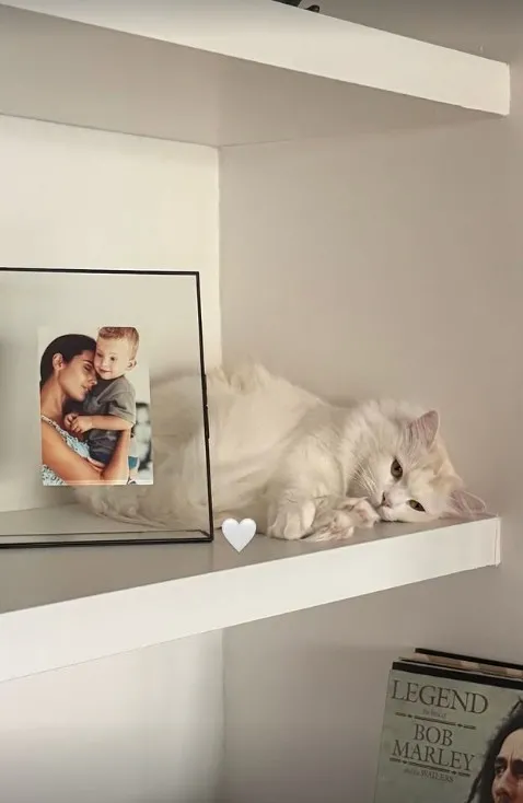 arzum-onandan-duygusal-paylasim-oglu-can-ile-nostalji-pozu-1775026471879.jpg Arzum Onan'dan duygusal paylaşım! Oğlu Can ile nostalji pozu-4