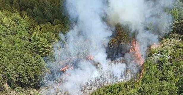 Muğla Ula’da orman yangını: Dumanlar yükseldi