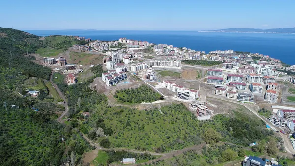 CHP'li Mudanya Belediyesi zeytinlikleri arsaya dönüştürdü-3