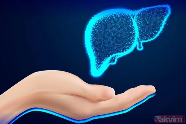 Doktorlar gece başlayan kaşıntısını önemsemedi: Dokuz yıl sonra organ nakliyle hayata tutundu - 6