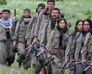 Teslim olan teröristler aynı adresi işaret etti! Önce HDP, sonra Kandil!