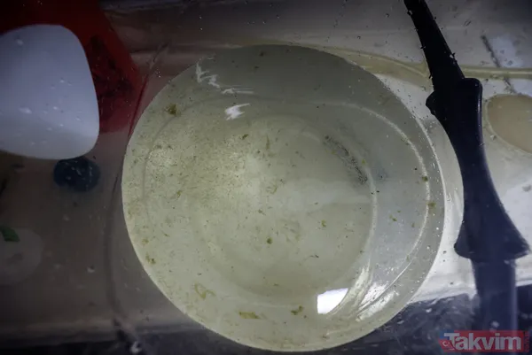 SON DAKİKA: A Haber Marmara Denizi'ndeki müsilajı (deniz salyası) araştıran ODTÜ gemisinde! 'Marmara 6-7 yılda biraz düzelebilir' - 22