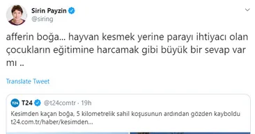 Şirin Payzının kurban hazımsızlığına sosyal medyadan tepki yağdı