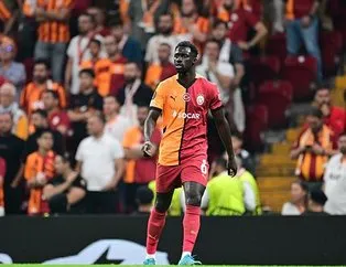 Davinson duvar ördü