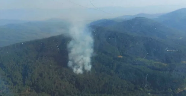 İzmir Bayındır'da çıkan orman yangını söndürüldü