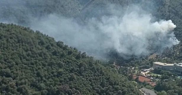 İzmir'de orman yangını! Ekipler harekete geçti