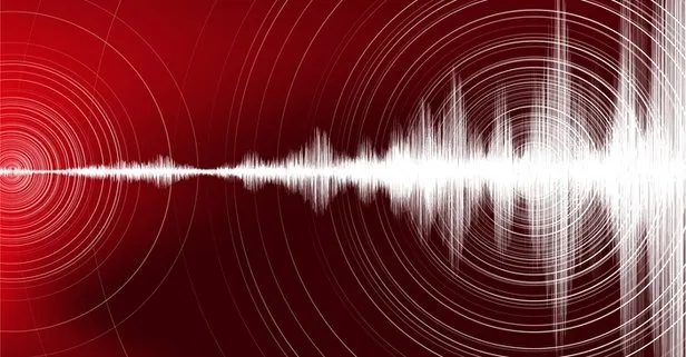 Van'da korkutan deprem!