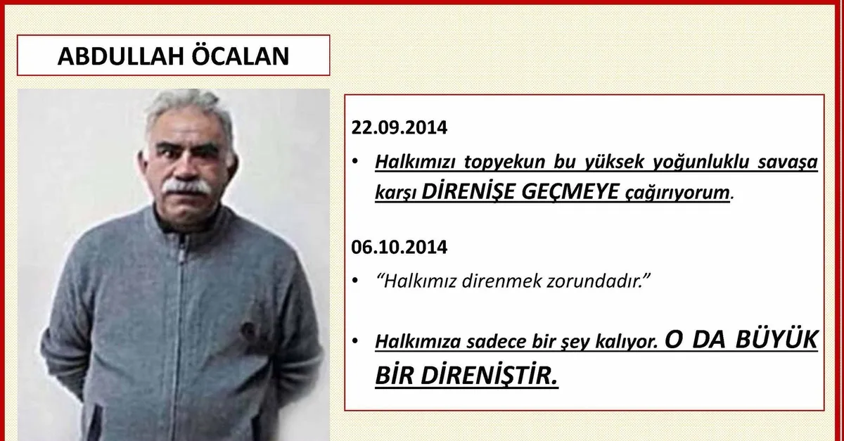Terör, kaos, yağma... İşte HDP destekli Kobani eylemlerinin ülkemize faturası