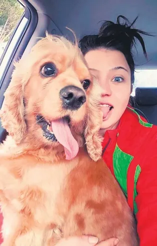 Antalya'da pitbull dehşet saçtı! Köpeği parçalayarak öldürdü