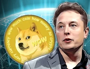 Dogecoin (DOGE) taş üstünde taş bırakmadı! Kırdığı rekorla yüzde 130'dan fazla değer kazandı! Dogecoin neden yükseldi?