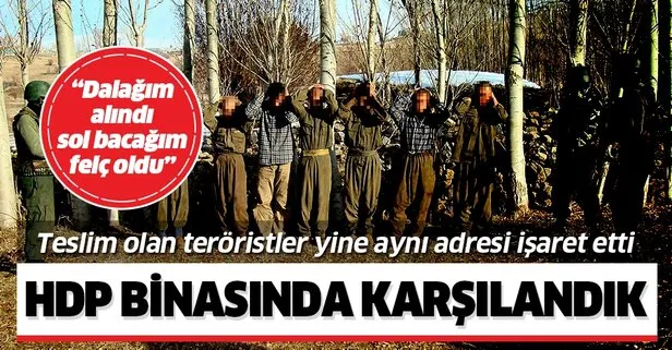Teslim olan teröristler yine aynı adresi işaret etti: HDP binasından alındık