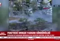 Adana Feke'de orman yangını!