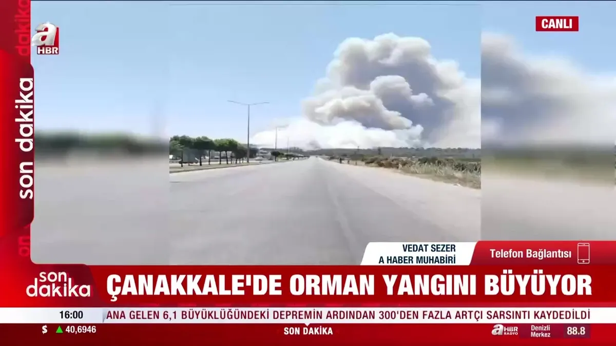 Çanakkale'de orman büyüyor