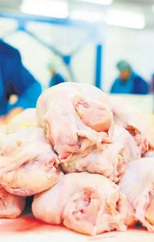 Bayat tavuğa çamaşır suyu! İşte gıda teröristlerinin akılalmaz hileleri