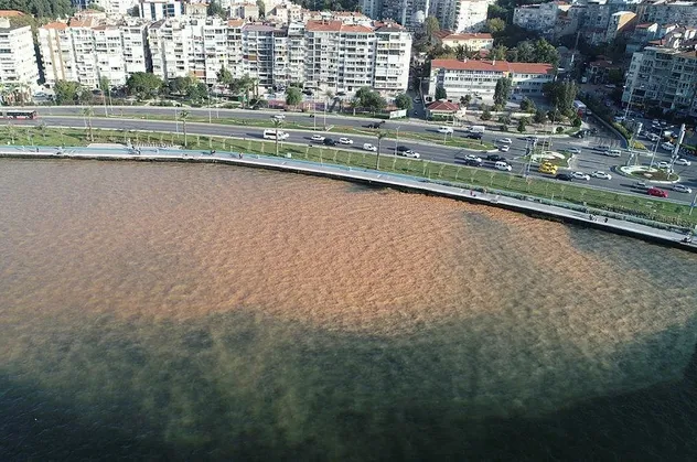 Son dakika: İzmir'de su borusunun patlaması nedeniyle denizin rengi değişti