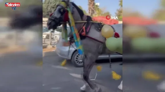 Şanlıurfa’da nostaljik çeyiz alayı! Genç çift çeyizini at arabasıyla taşıdı