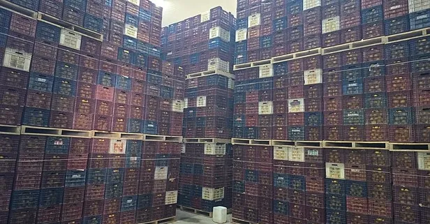 Çiftçide 1,5 lira olan limon tezgahta 20 liraya çıktı! Arz-talep dengesiyle açıklamak mümkün değil: "Ne oldu bizim şu Hal Yasası işi?"