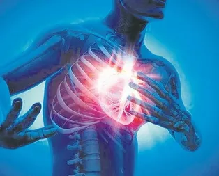 Domates kalbi koruyor