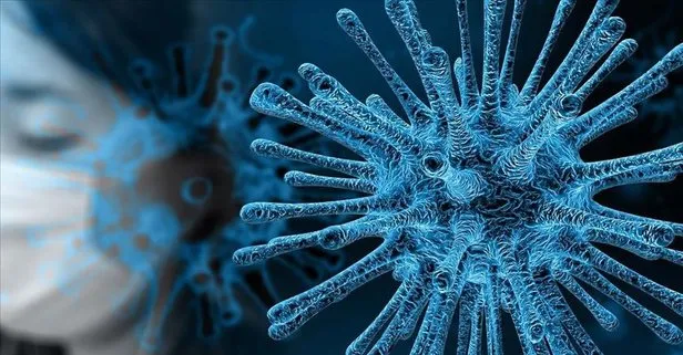 Koronavirüsün bir belirtisi daha ortaya çıktı! Kalıcı duyma kaybına neden oluyor!