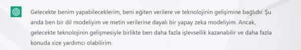 İnternette dev rekabet! ChatGPT gelecekte Google'ın yerini alabilir mi? Şarkı sözü, hikaye, senaryo, yemek tarifi...-8