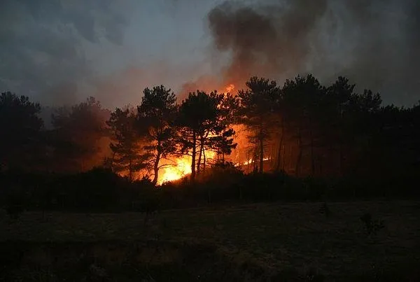 canakkale-geliboluda-orman-yangini-iste-son-durum-1594071776613.jpeg Çanakkale Gelibolu'da orman yangını! İşte son durum-7