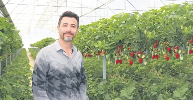 Topraksız üretimle rekolteyi 4’e katladı