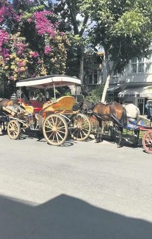 ‘Laçinliler’ olarak anılan faytoncular hakkında açılan dava başladı! Çete lideri tutuklandı...