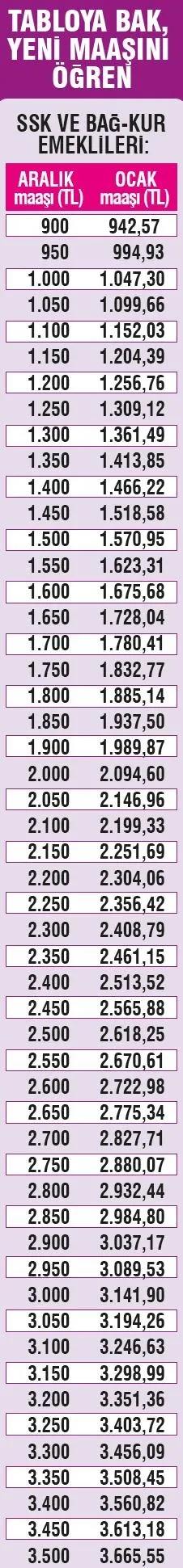 Emekliye sendika müjdesi - 1