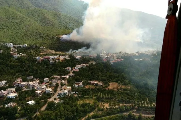 Hatay'da orman yangını!