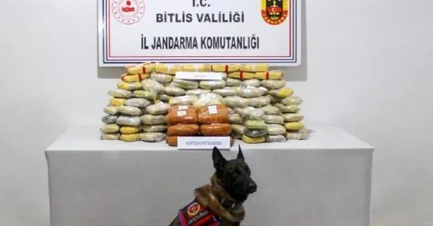 Bitlis’te uyuşturucu operasyonu: TIR’daki 80 kilo 220 gram eroin ile 9 kilo 380 gram metamfetamini ’Cesur’ buldu