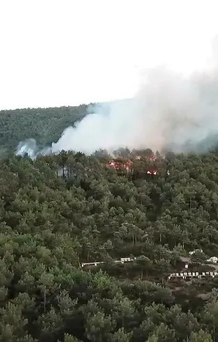 Kayışdağı'nda çıkan orman yangını kontrol altına alındı