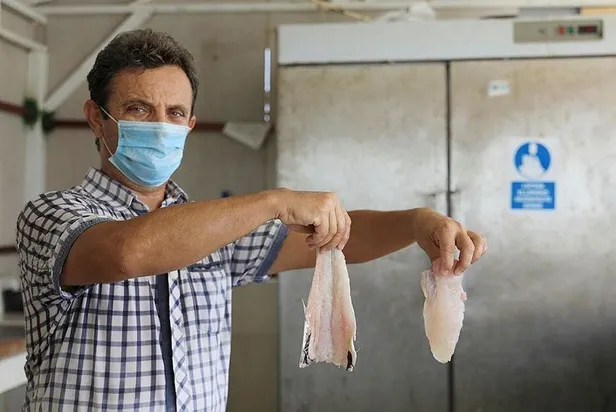 Zehirli balon balığıyla ilgili vatandaşlara kritik uyarı: Filetosundan ayırt etmek imkansız-4