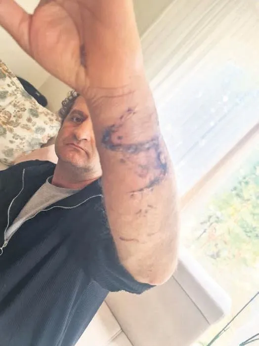 turkiyeye-baklava-yediren-kiz-semiha-dilara-hazirin-paylasimi-milyonlara-ulasti-1673999145272.jpeg Türkiye'ye baklava yediren kız! Semiha Dilara Hazır'ın paylaşımı milyonlara ulaştı-8