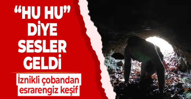 Çobandan gizemli keşif: Ormanda koyun otlatırken 2 galeriden oluşan mağaradan "Hu hu" diye sesler duydu