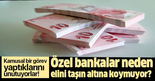 Özel bankalar neden elini taşın altına koymak istemiyor? Prof. Dr. Kerem Alkin açıkladı!