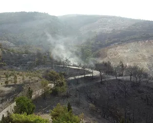 Bakan Pakdemirli duyurdu: Hataydaki yangın kontrol altında