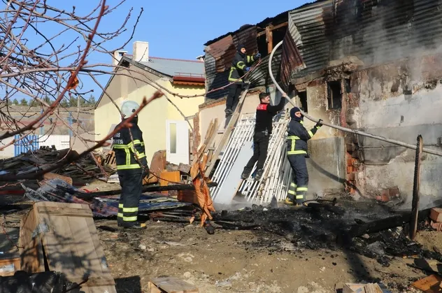 Sivas'ta yavru kangallar telef oldu