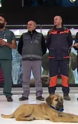 Kuyu ve onu kurtaran ekip ATV Ana Haber'de