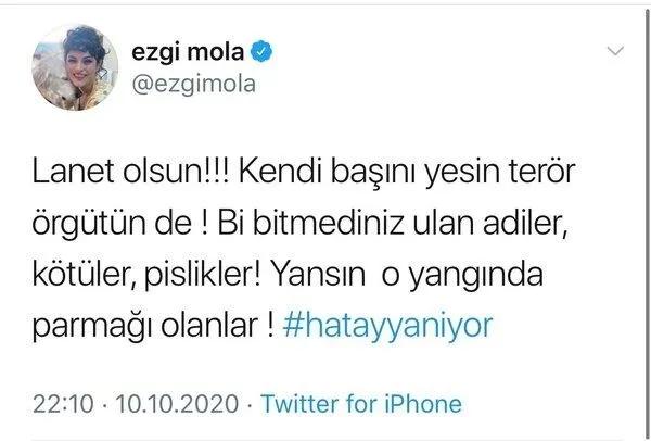 Son dakika: Hatay yangınıyla ilgili paylaşım yapan Ezgi Mola'ya tepki yağdı: Asıl faili koruyucu bir söylem-2