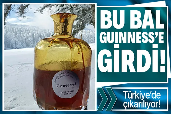 Türkiye'de mağaradan çıkarılan balın kilosu tam 10 bin euro! Guinness Rekorlar Kitabı'na girdi-1