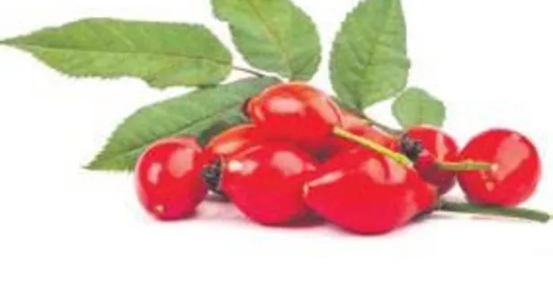 Kabızlığa iyi gelen kuşburnu kanserle de savaşır!