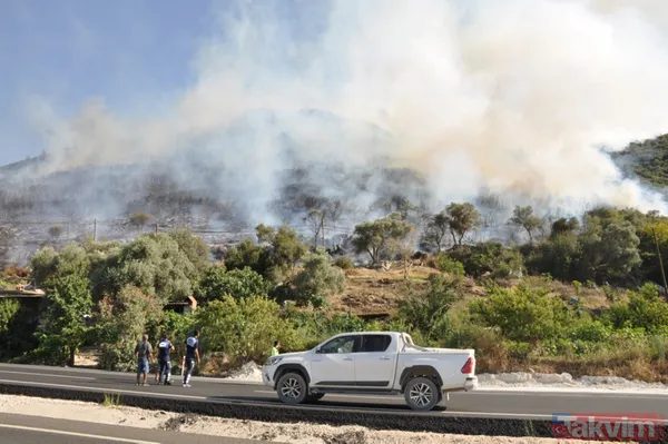 Marmaris'teki yangını '2 çocuk çıkardı' şüphesi: İfadeleri pedagog eşliğinde alınacak - 25