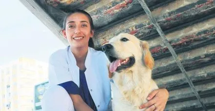 Süs değiller
